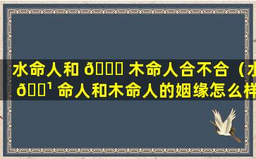 水命人和 🐒 木命人合不合（水 🌹 命人和木命人的姻缘怎么样）